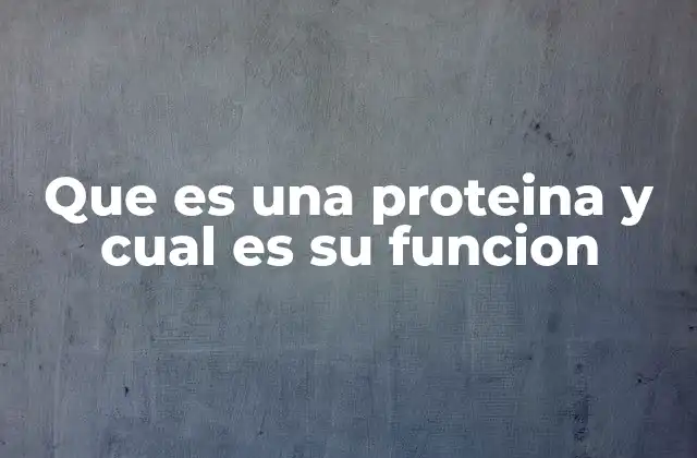 Que es una Proteina y Cual es Su Funcion