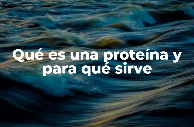 Qué es una Proteína y para Qué Sirve
