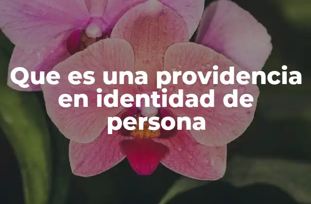 Que es una Providencia en Identidad de Persona