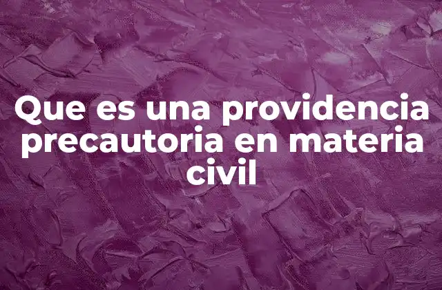 Que es una Providencia Precautoria en Materia Civil