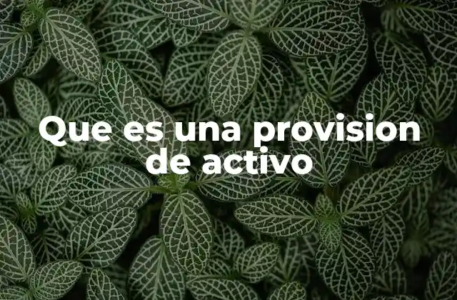Que es una Provision de Activo
