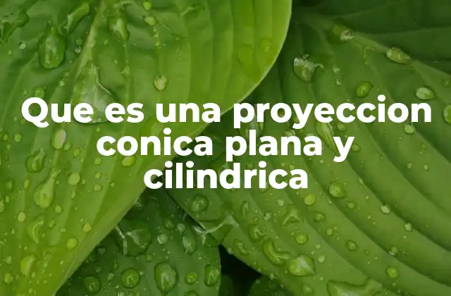 Que es una Proyeccion Conica Plana y Cilindrica