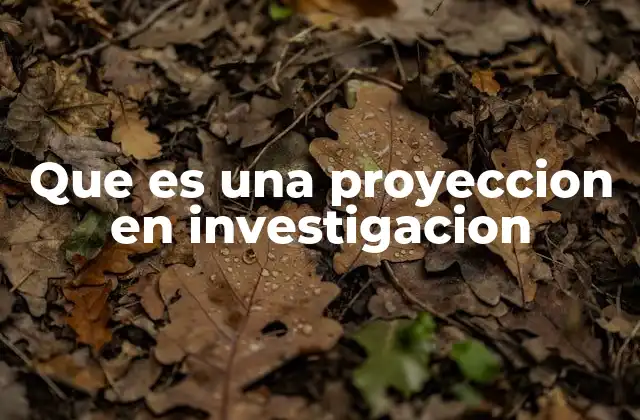 Que es una Proyeccion en Investigacion