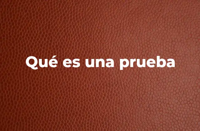 Qué es una Prueba