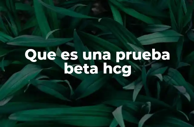 Que es una Prueba Beta Hcg