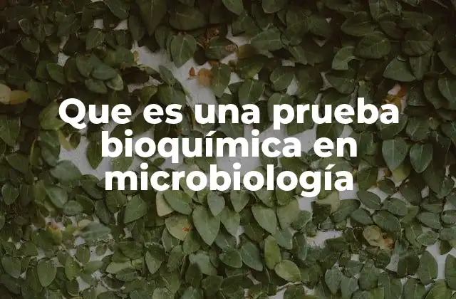 Que es una Prueba Bioquímica en Microbiología 2 El papel de las pruebas bioquímicas en el diagnóstico microbiológico