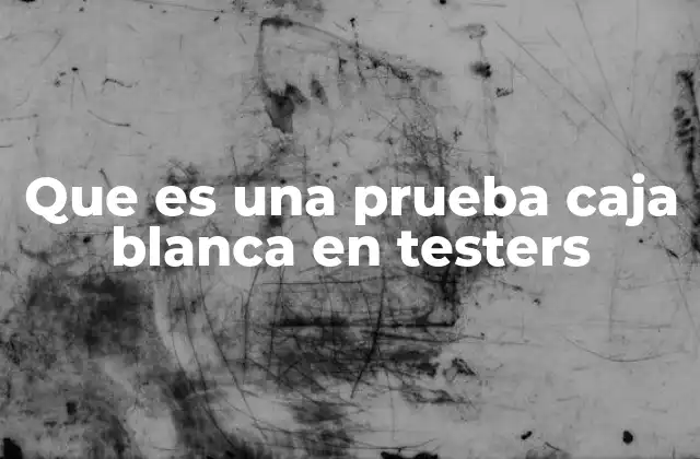 Que es una Prueba Caja Blanca en Testers