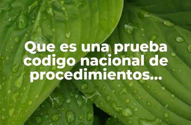La importancia de la prueba en el sistema legal penal