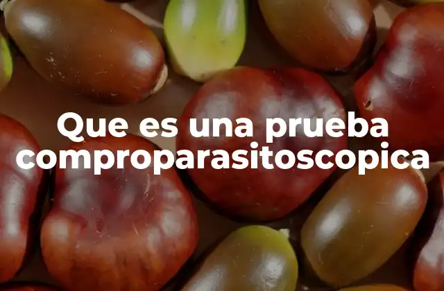¿Cómo se lleva a cabo una prueba parasitológica?