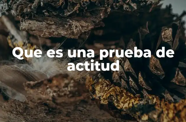 Que es una Prueba de Actitud