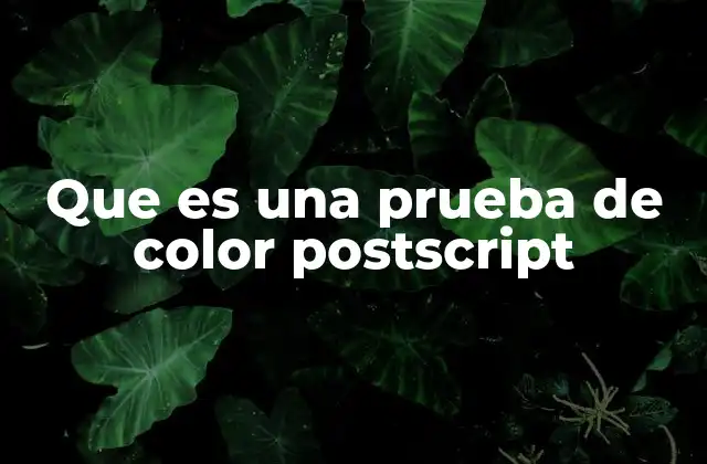Que es una Prueba de Color Postscript