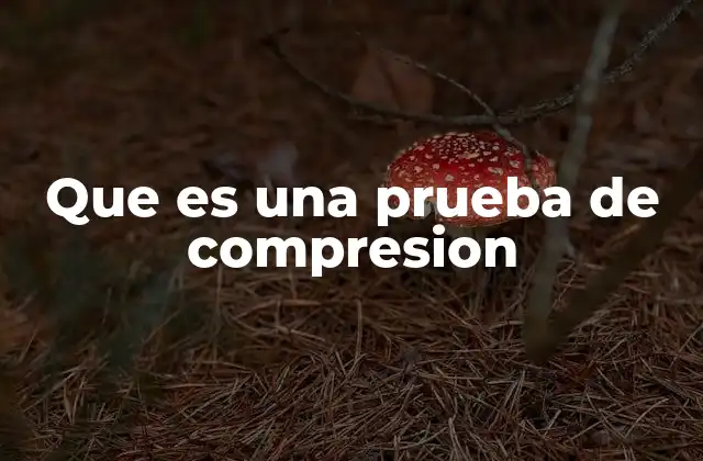 Que es una Prueba de Compresion