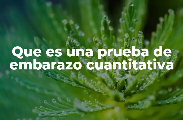 Que es una Prueba de Embarazo Cuantitativa