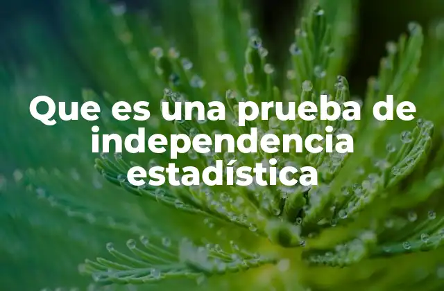 Que es una Prueba de Independencia Estadística
