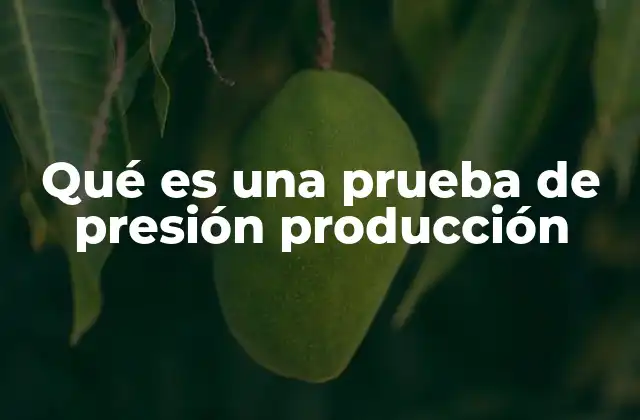 Qué es una Prueba de Presión Producción