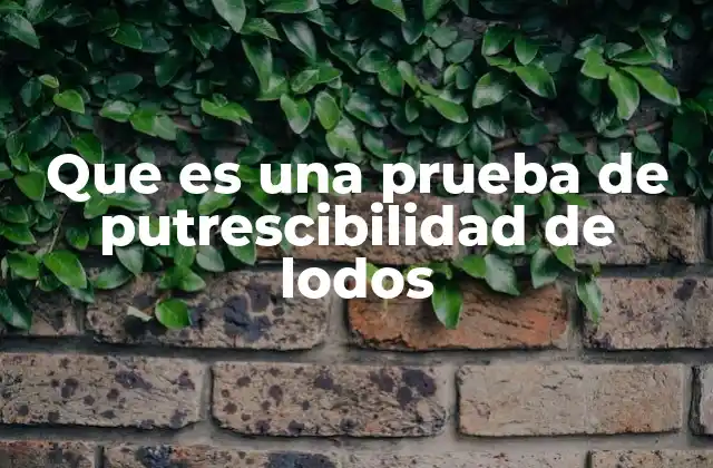 Importancia de evaluar la putrescibilidad en el tratamiento de aguas residuales