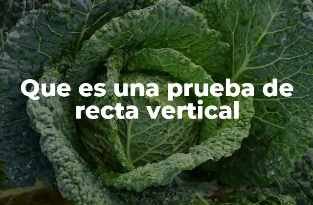 Que es una Prueba de Recta Vertical