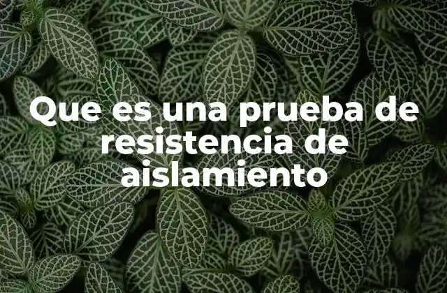 Que es una Prueba de Resistencia de Aislamiento