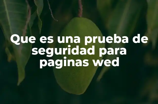 La importancia de evaluar la seguridad en plataformas digitales