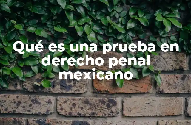Qué es una Prueba en Derecho Penal Mexicano 2 El papel de la prueba en la justicia penal mexicana