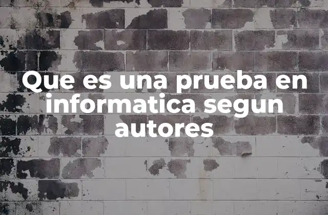 Que es una Prueba en Informatica Segun Autores