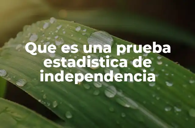 Que es una Prueba Estadistica de Independencia