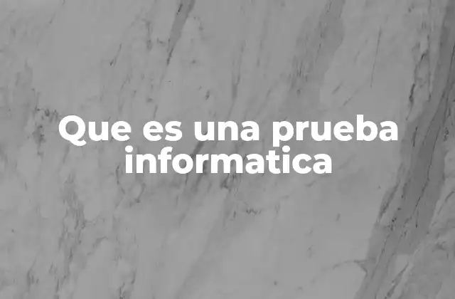 Que es una Prueba Informatica