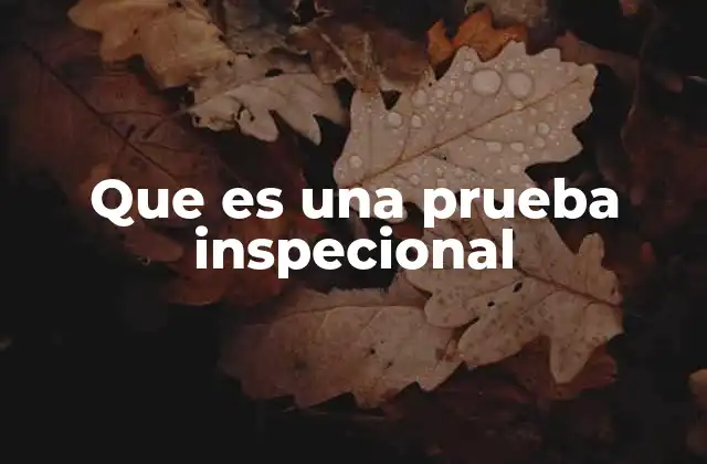 Que es una Prueba Inspecional