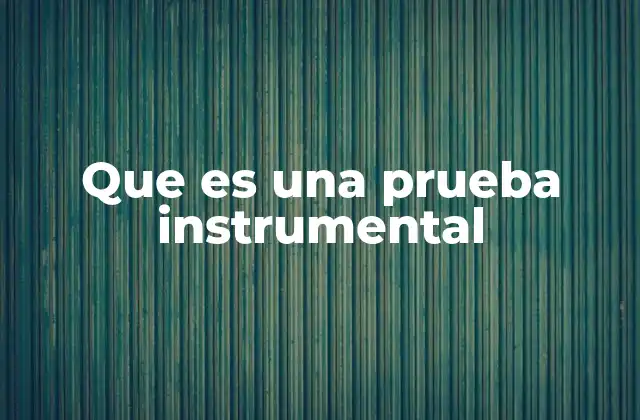 Que es una Prueba Instrumental