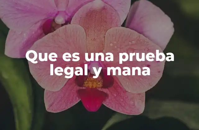 Que es una Prueba Legal y Mana