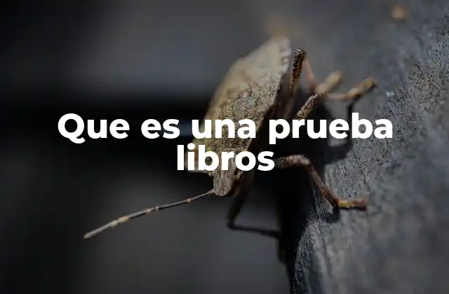Que es una Prueba Libros