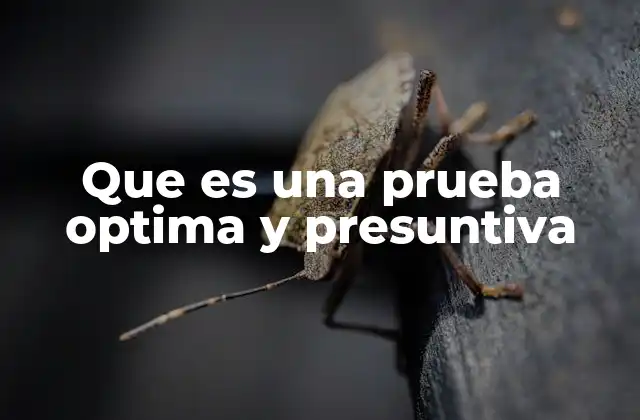 Que es una Prueba Optima y Presuntiva