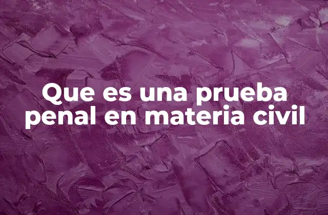 Que es una Prueba Penal en Materia Civil