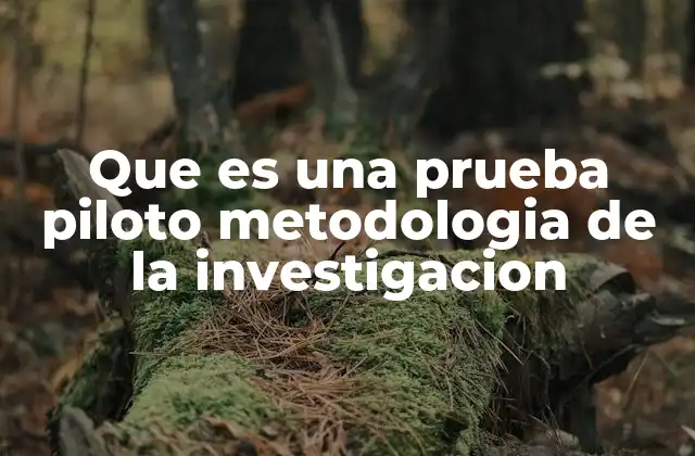 Que es una Prueba Piloto Metodologia de la Investigacion