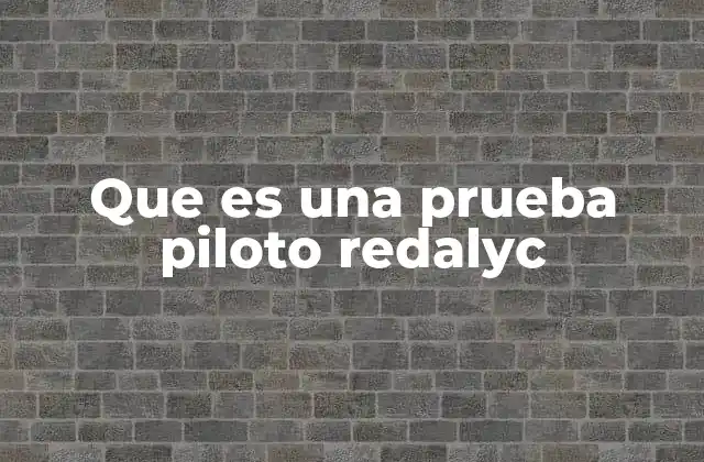 Que es una Prueba Piloto Redalyc