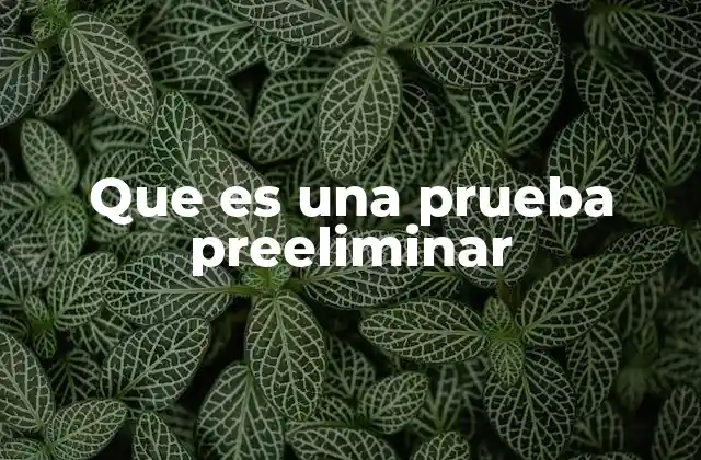 Que es una Prueba Preeliminar