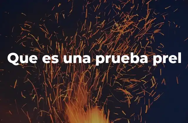 Que es una Prueba Prel