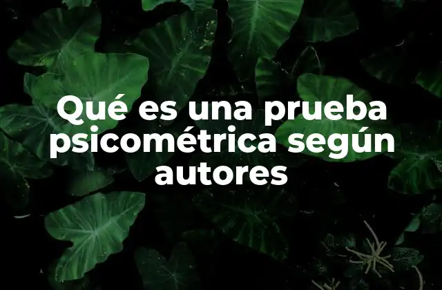Qué es una Prueba Psicométrica según Autores