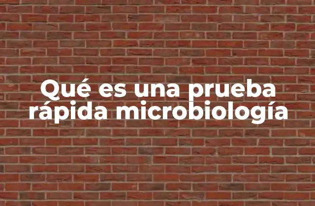 Qué es una Prueba Rápida Microbiología