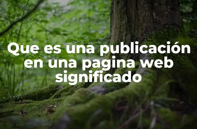Que es una Publicación en una Pagina Web Significado