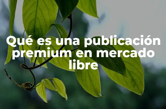 Qué es una Publicación Premium en Mercado Libre 2 Cómo funciona el sistema de publicaciones premium en MercadoLibre