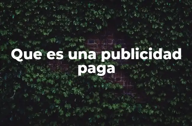Que es una Publicidad Paga