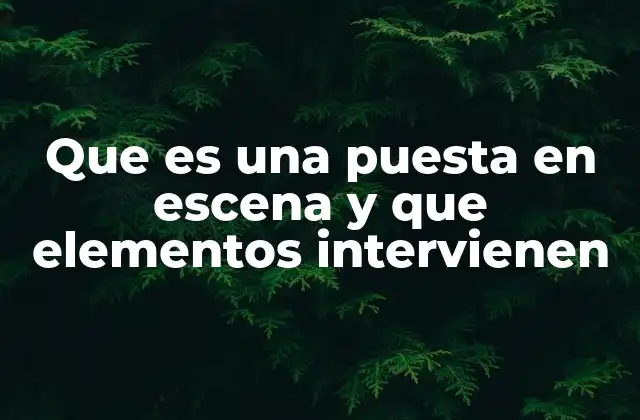 Que es una Puesta en Escena y que Elementos Intervienen 2 El arte de transformar una obra en una experiencia visual