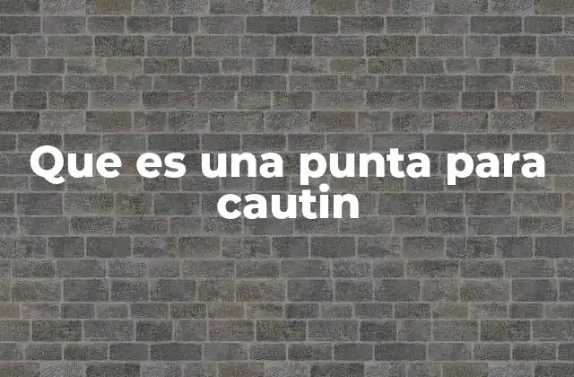 Que es una Punta para Cautin