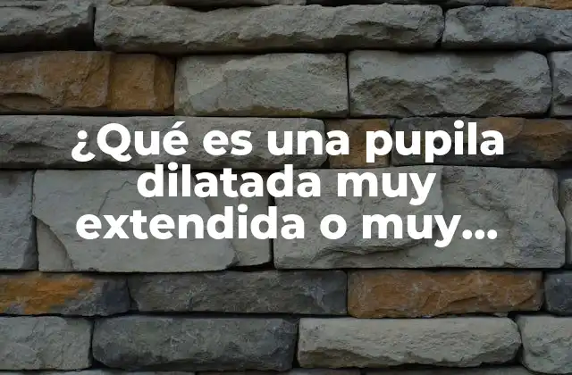 ¿qué es una Pupila Dilatada Muy Extendida o Muy Grande?
