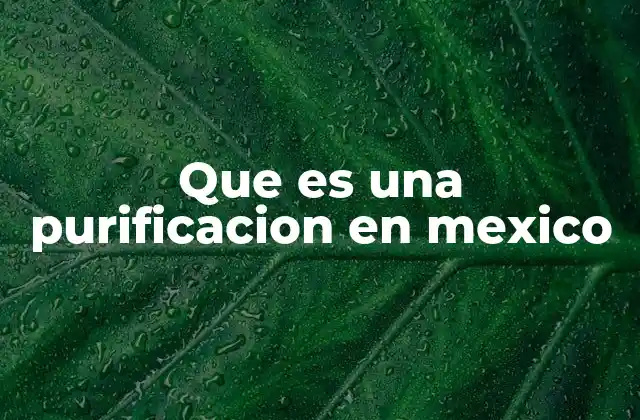 Que es una Purificacion en Mexico