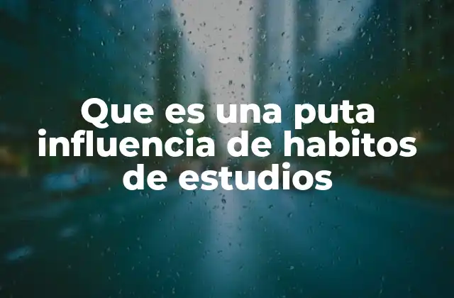 Que es una Puta Influencia de Habitos de Estudios