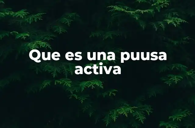 Que es una Puusa Activa
