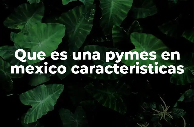 Que es una Pymes en Mexico Caracteristicas 2 El papel de las pymes en la economía mexicana