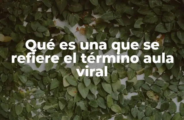 Qué es una que Se Refiere el Término Aula Viral 2 El aula digital y su evolución hacia el contenido viral